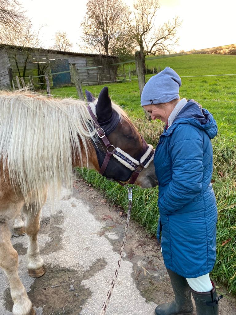 Tierkommunikation mit Pferd